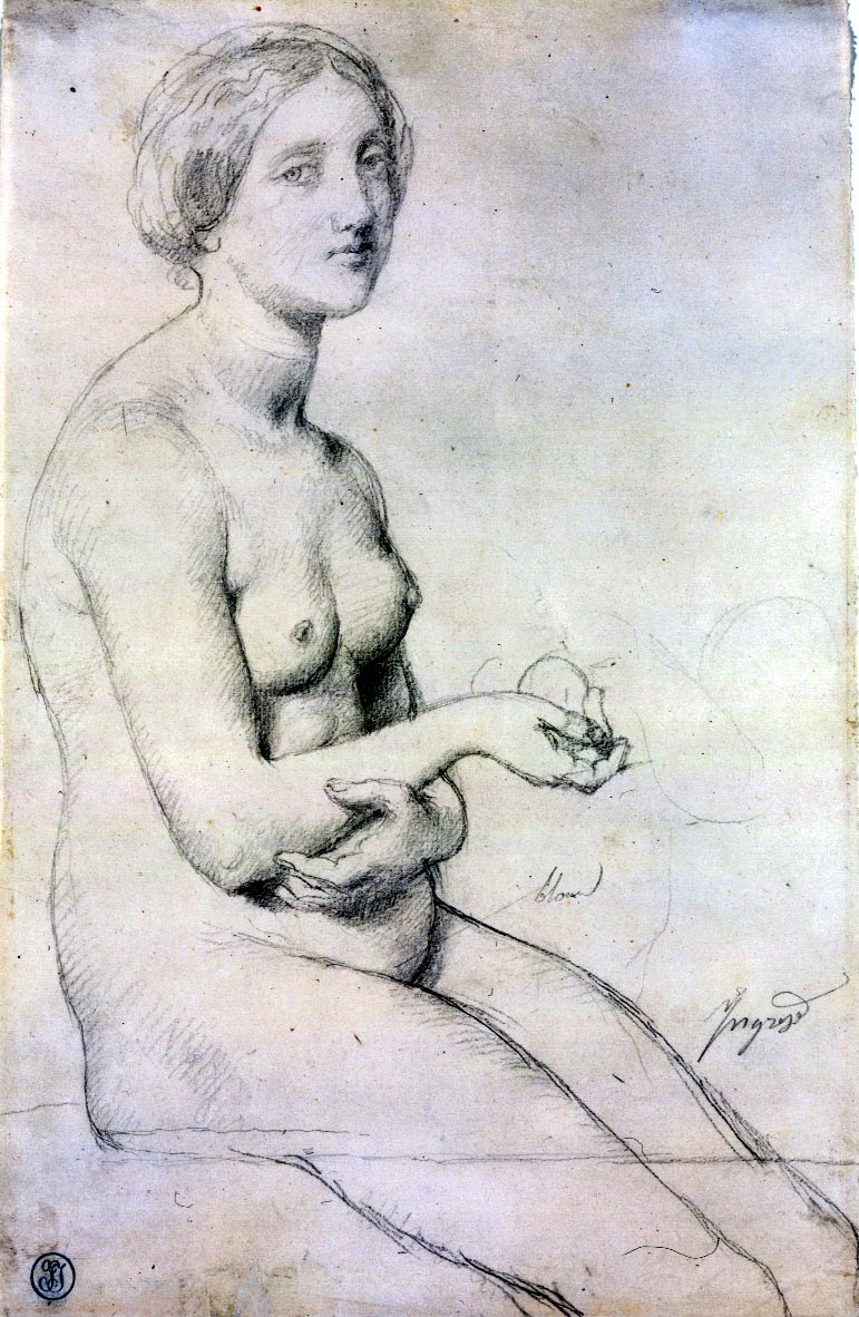 _images/Etude_Venus_a_Paphos_Ingres_1852.jpg