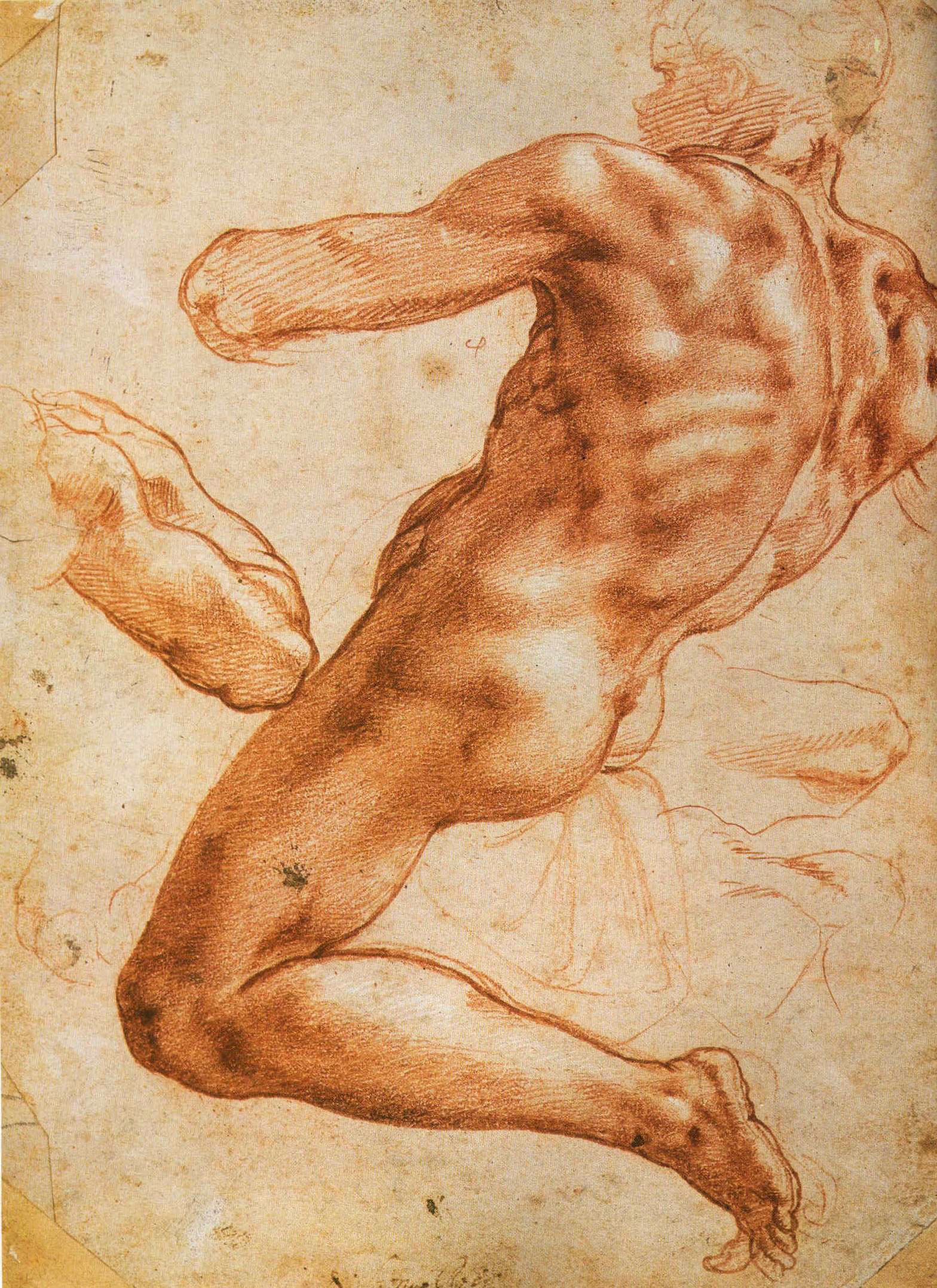 _images/study-for-an-ignudo.jpg